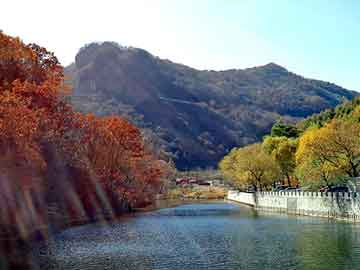 新澳天天开奖资料大全旅游团，杨陈